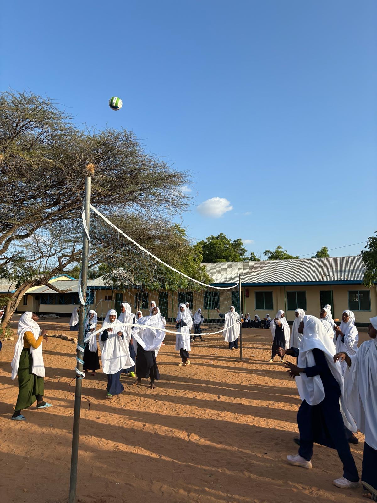 Volleyboll